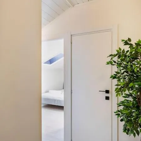 Stupendo Duplex In Centro A アパート *